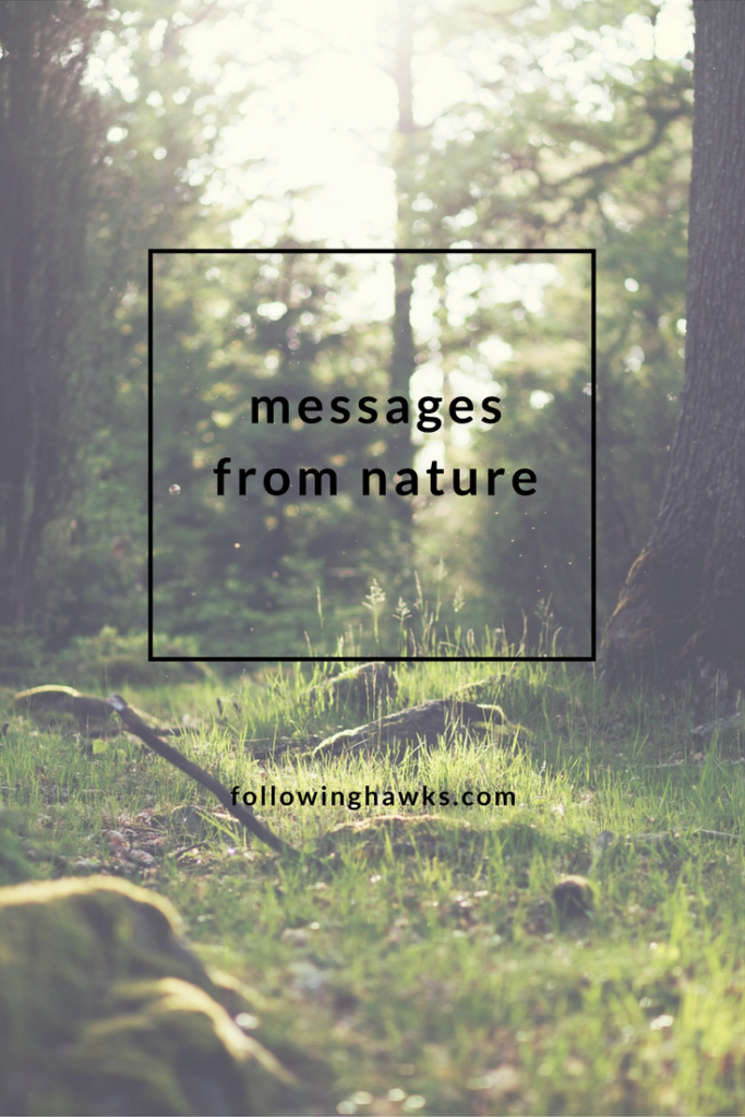 What does nature have to say to us?