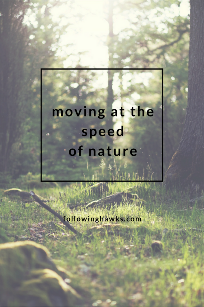 Nature vibrates at a slower speed than we do.