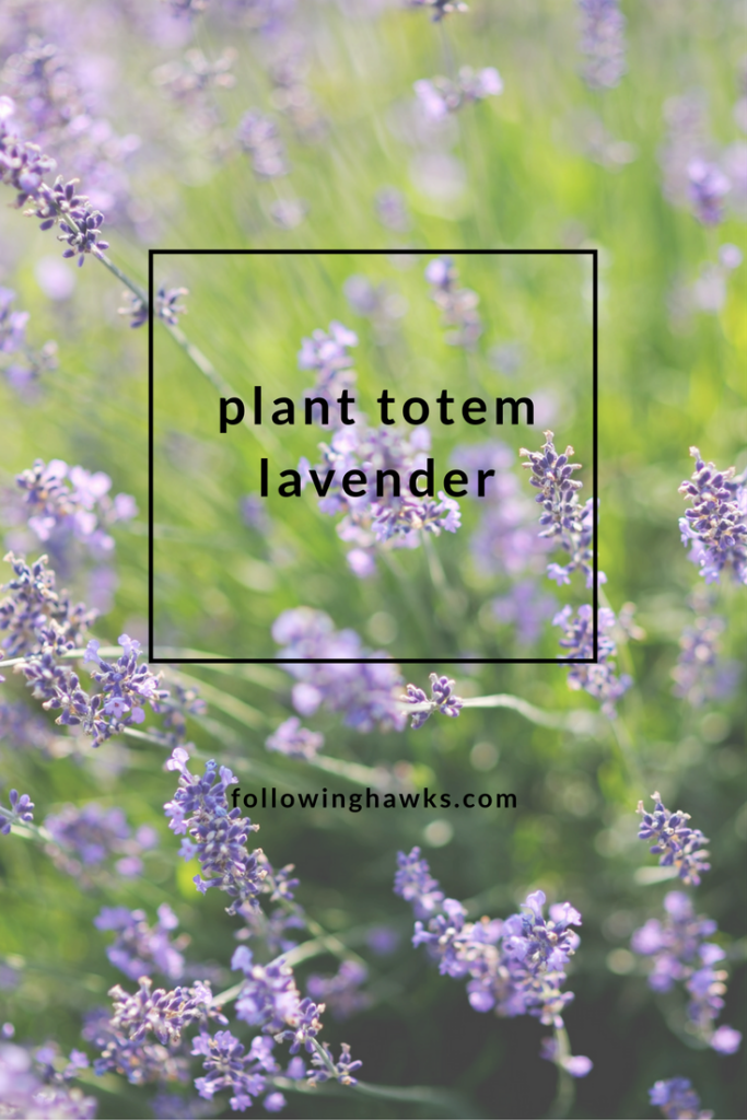 Connecting and talking with a lavender plant.