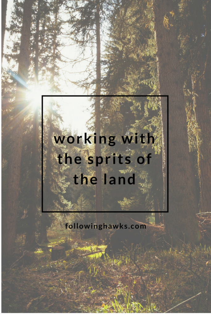 How I learned to work with nature spirits.