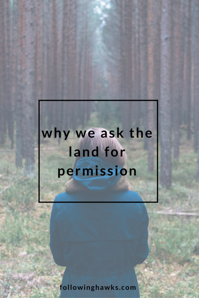 Spirit of the Land | Guides | Asking the land for permission