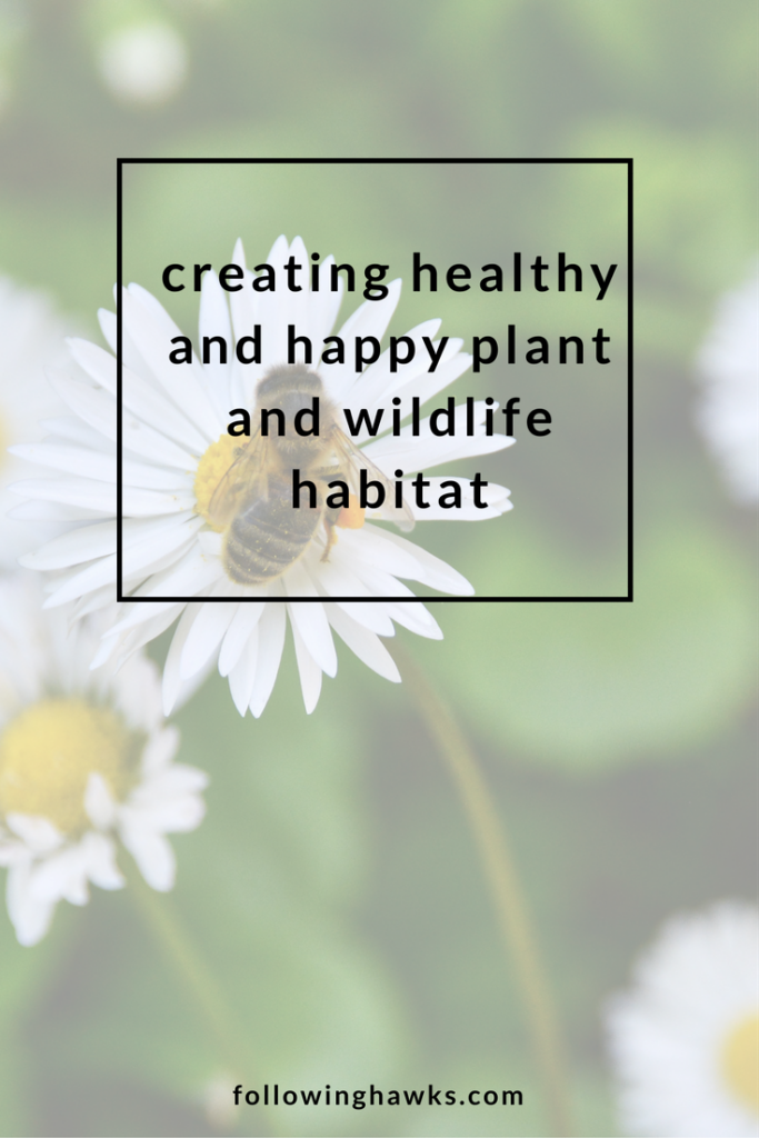 Plant & Wildlife Habitat | Permaculture | Gardening