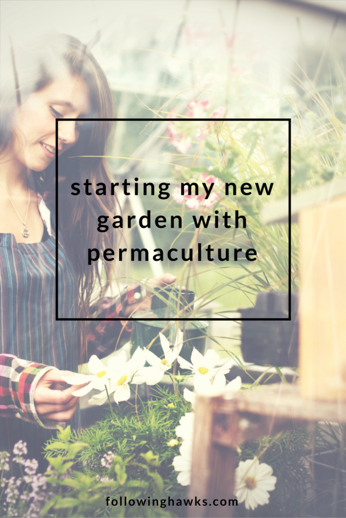 Permaculture | New Garden