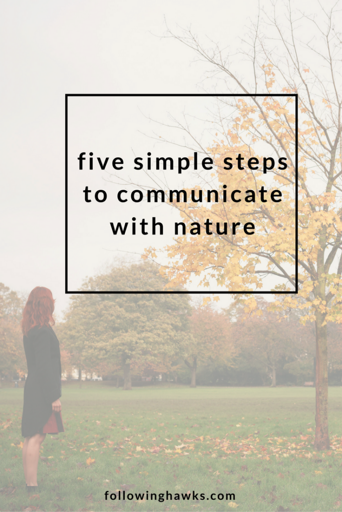 Five Simple Steps to Communicate with Nature