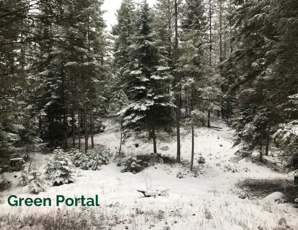 Green Portal | Montana Portals