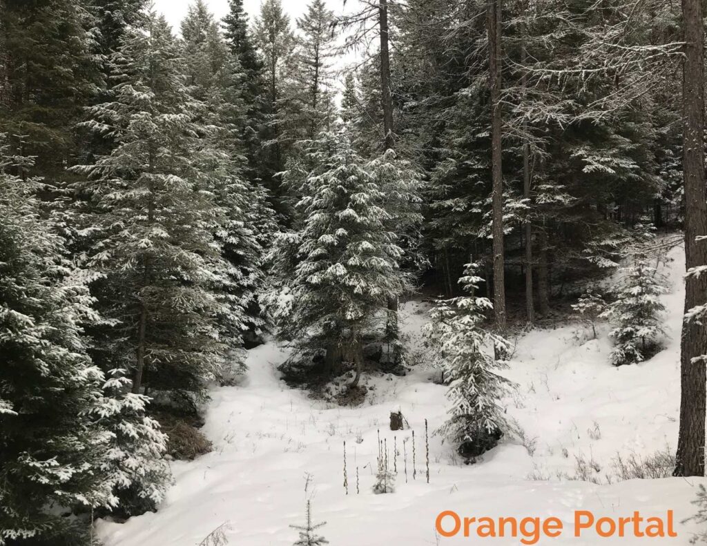 Orange Portal | Montana Portals