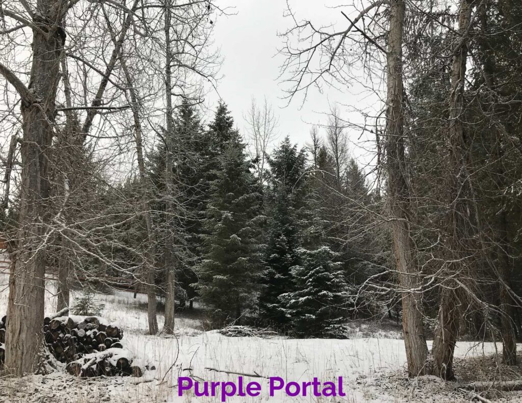 Purple Portal | Montana Portals