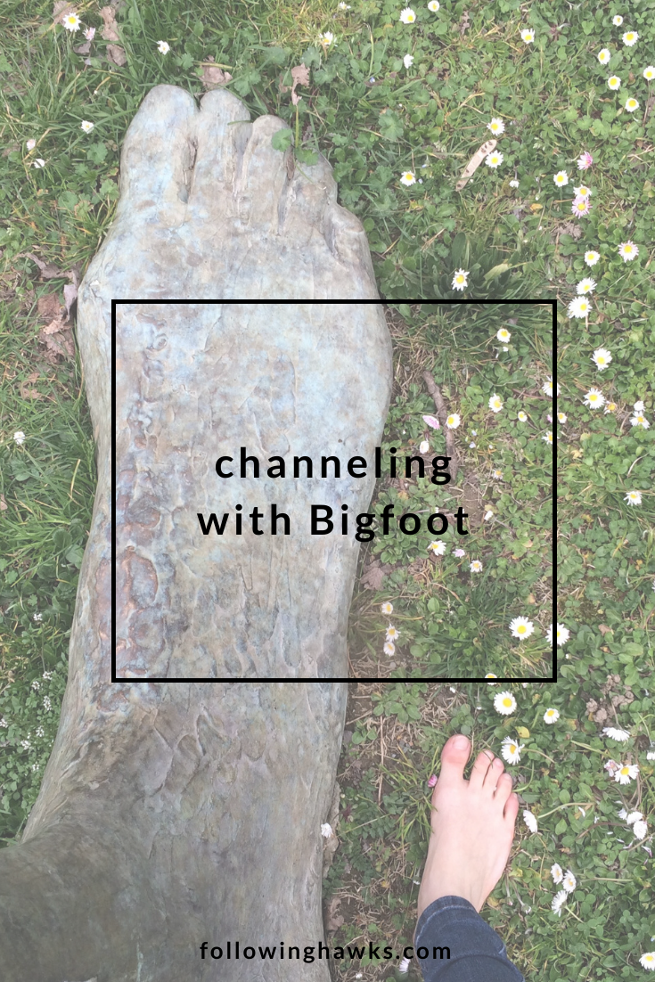 Channeling with Bigfoot. Click through to read about my month-long adventure channeling with and ultimately embodying the energy of Bigfoot. #shamanism #bigfoot #spiritguides