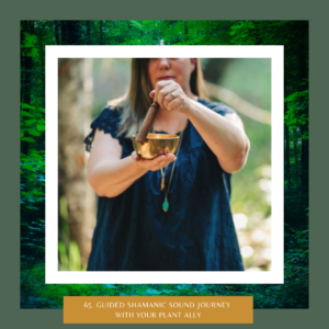 Guided Shamanic Sound Journey with Your Plant Ally - The Earth Keepers Podcast