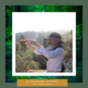 Honeybee as Shaman with Ariella Daly The Earth Keepers Podcast with Amy Dempster from Following Hawks