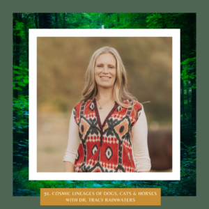 Cosmic Lineages of Dogs, Cats & Horses with Sarah Thomas The Earth Keepers Podcast with Amy Dempster from Following Hawks